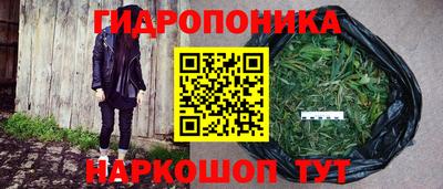 мет Кинель
